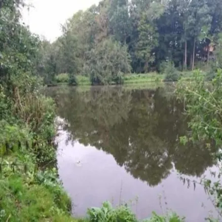 아파트 Im Ostseebad Kuehlungsborn, Cleaning Included Ostseebad Kühlungsborn